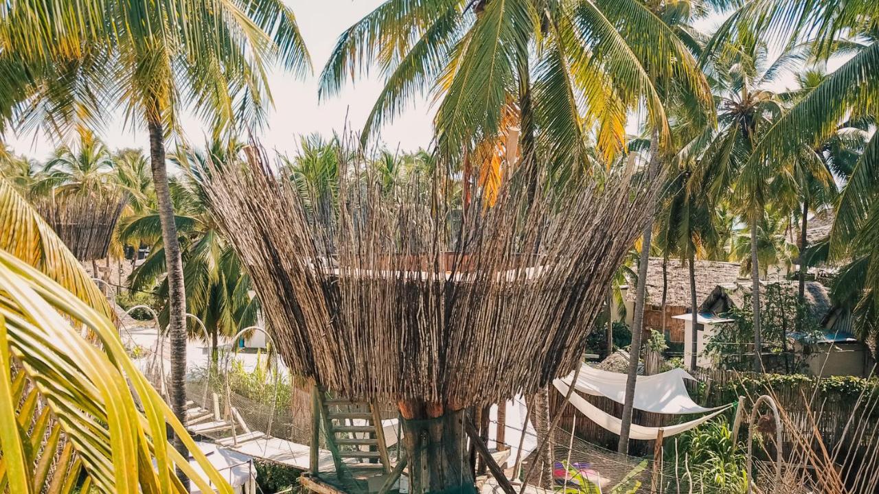 فندق The Nest Boutique باجي