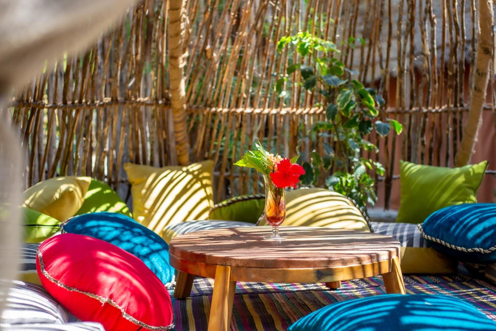 فندق The Nest Boutique باجي